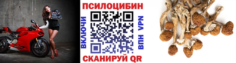 Псилоцибиновые грибы Magic Shrooms как найти закладки ссылка на мегу ссылки Всеволожск